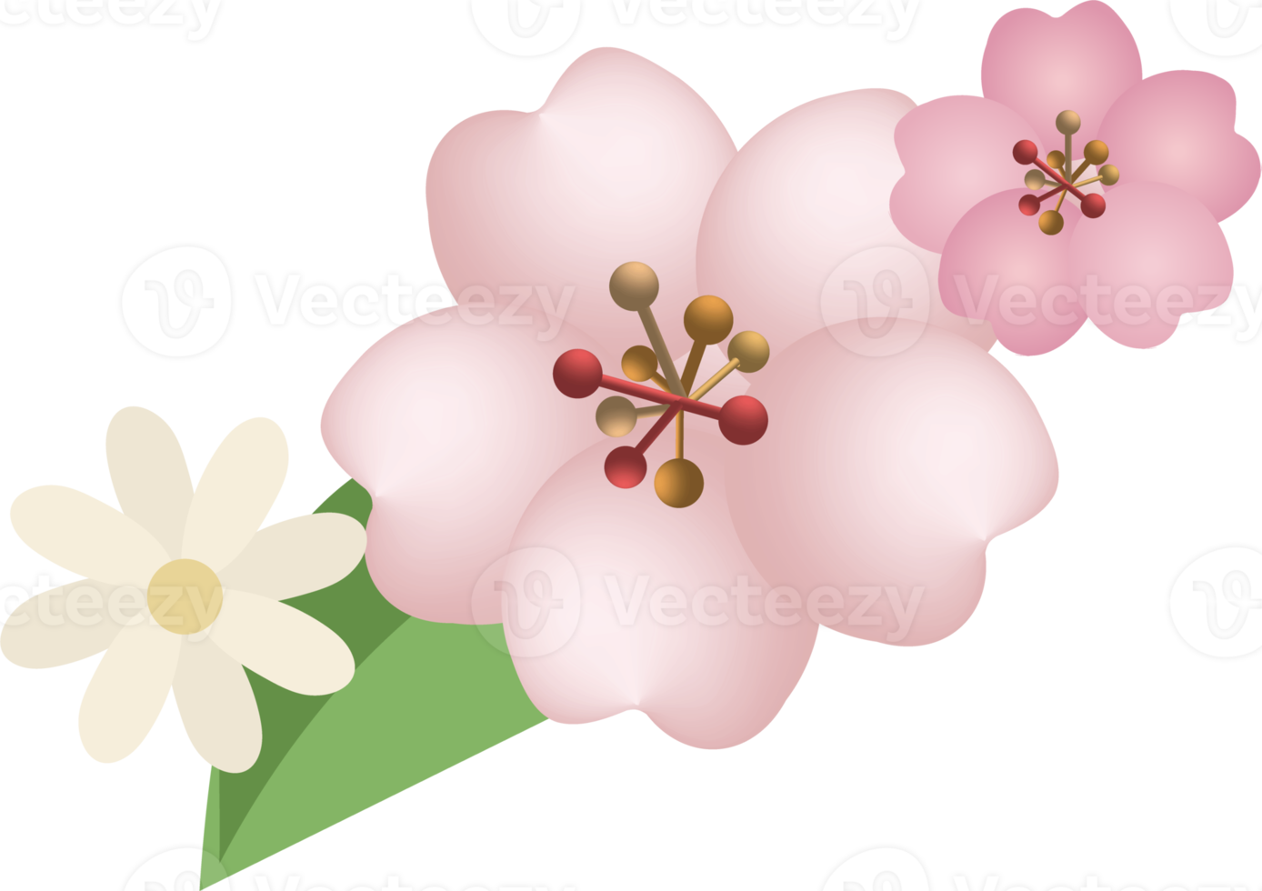 Cherry blossoms and daisy border frame png