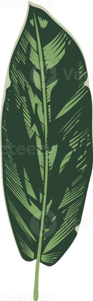 icône de feuilles tropicales png