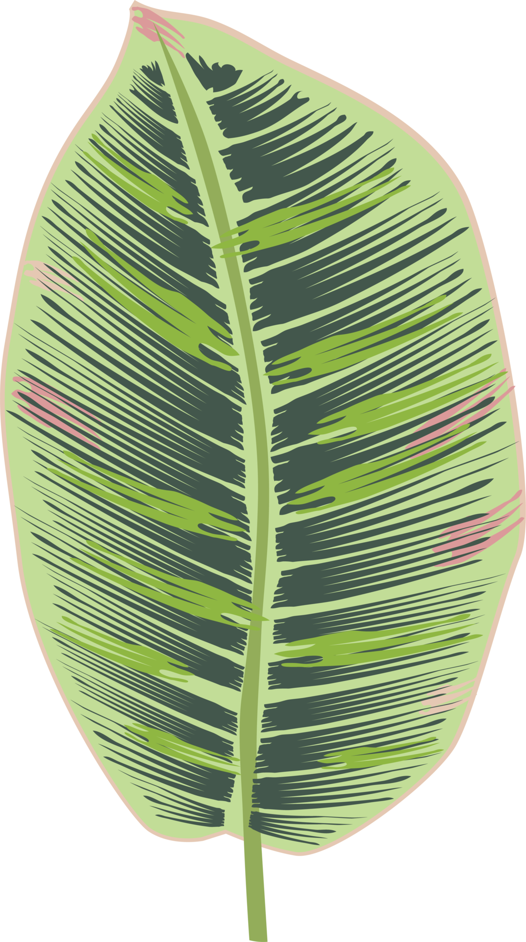 Tropical leaves icon 16384242 png