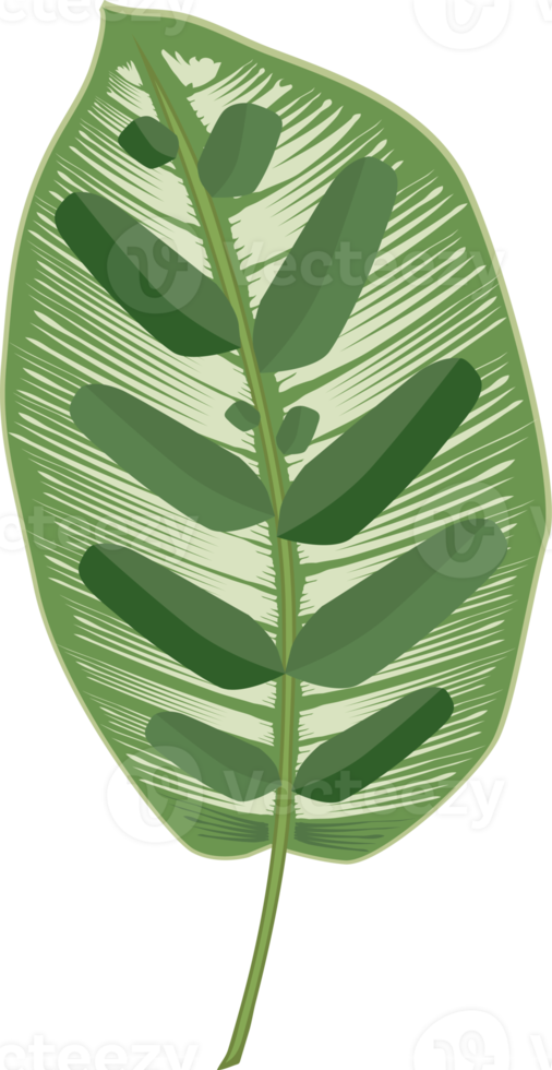 icône de feuilles tropicales png