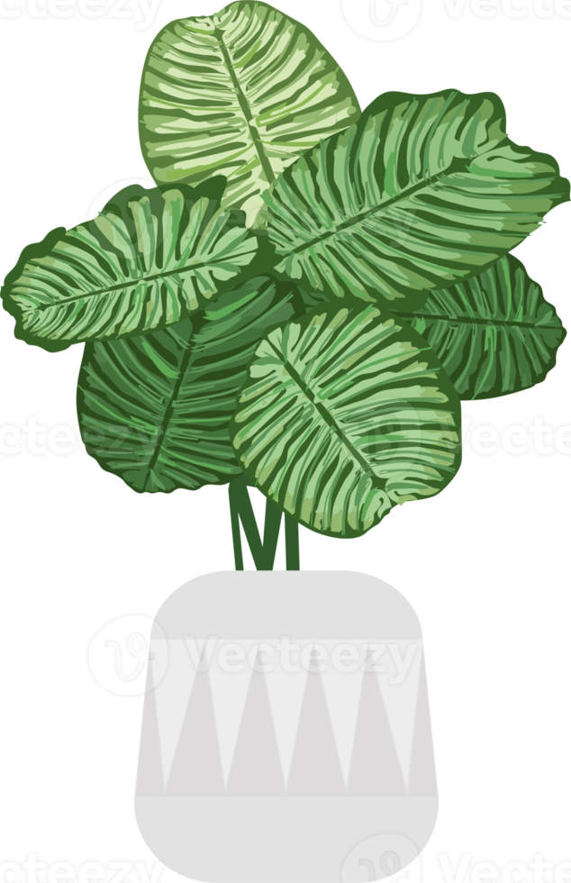 icono de plantas en maceta png