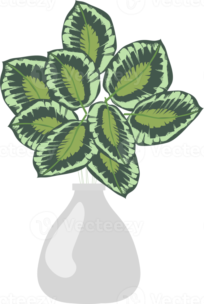 potted plants icon png