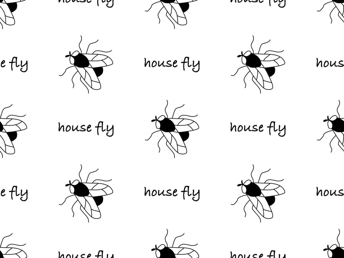 Housefly cartoon character seamless pattern on white background vector