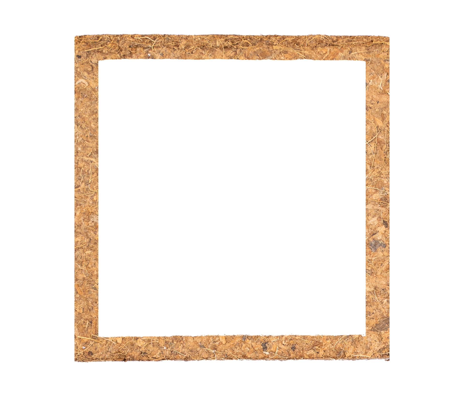 canvas-photo-frame-16384721-png