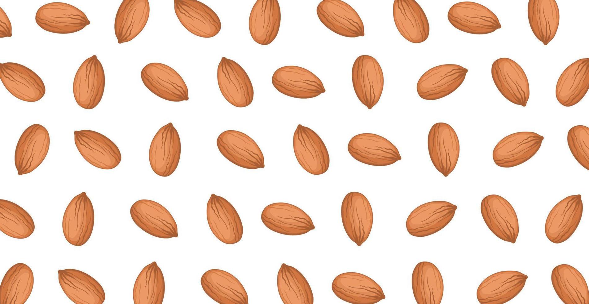 Panoramic pattern of roasted almonds on a white background - Vector