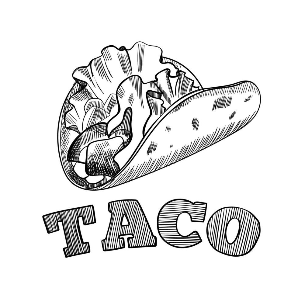 Taco. Mexican traditional food vector hand drawn illustration, menu label, banner poster identity, branding. Stylish design with sketch illustration. Tacos Isolated on white background.