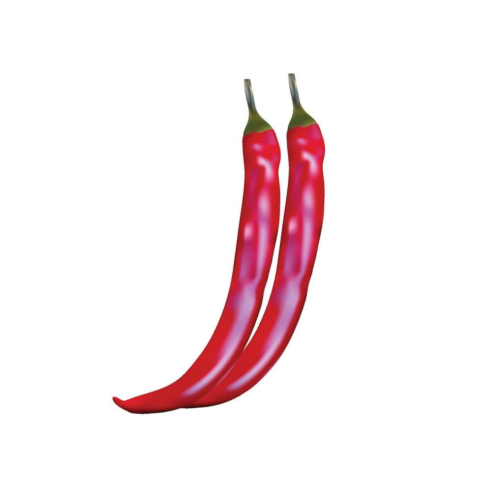 pimiento rojo vector realista aislado sobre fondo blanco.