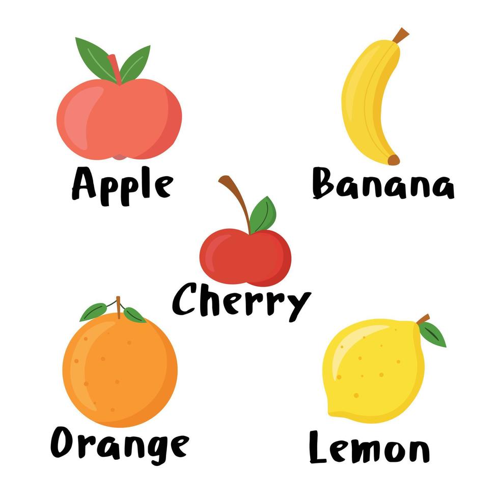 Set of fresh juicy fruits for vegan menu and cocktails. Summer fruit illustrations for print. vector