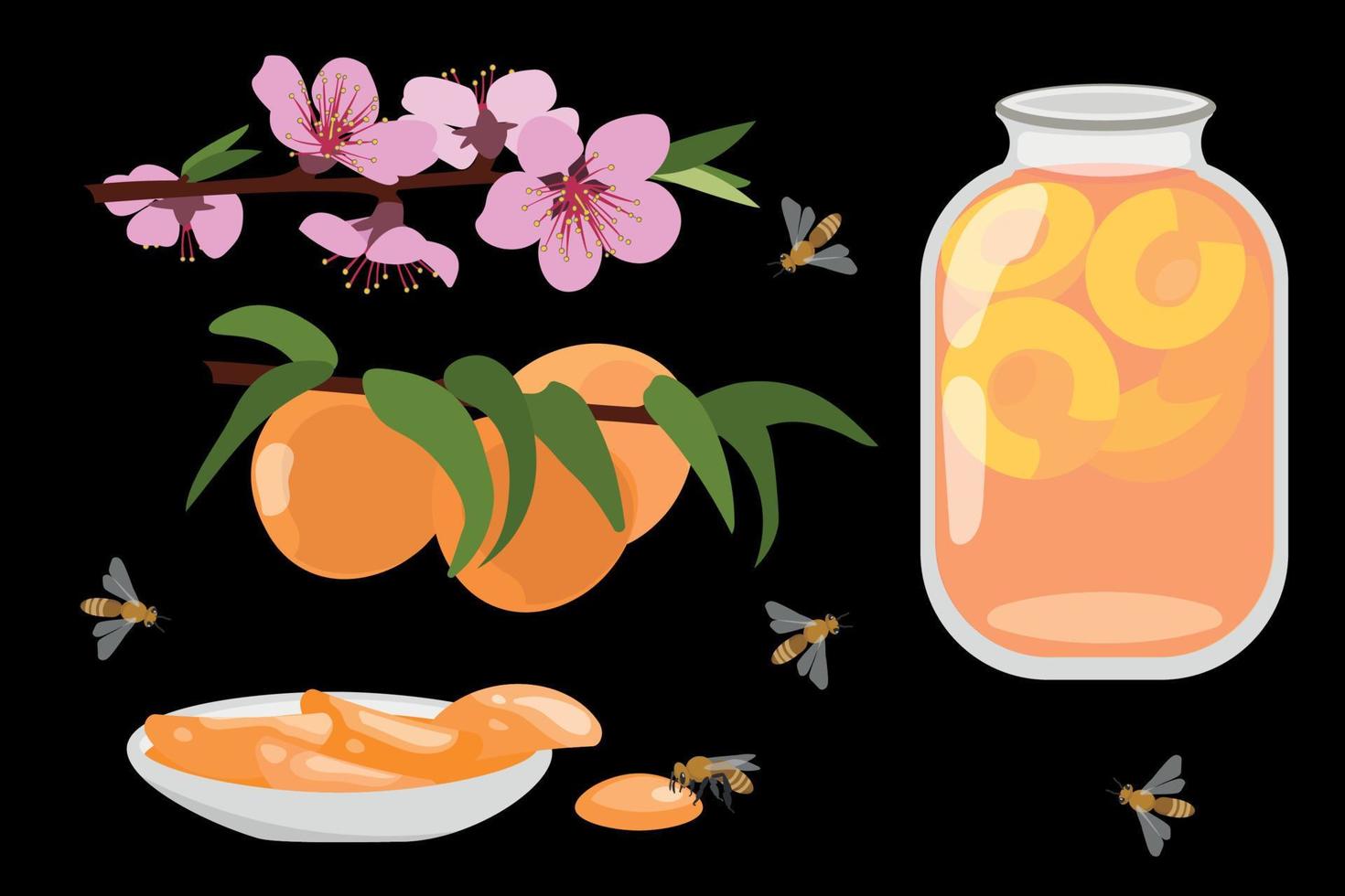 Blooming peach and fruit, jam and compote vector