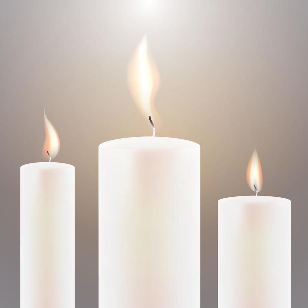 Three Candle Flame. vector