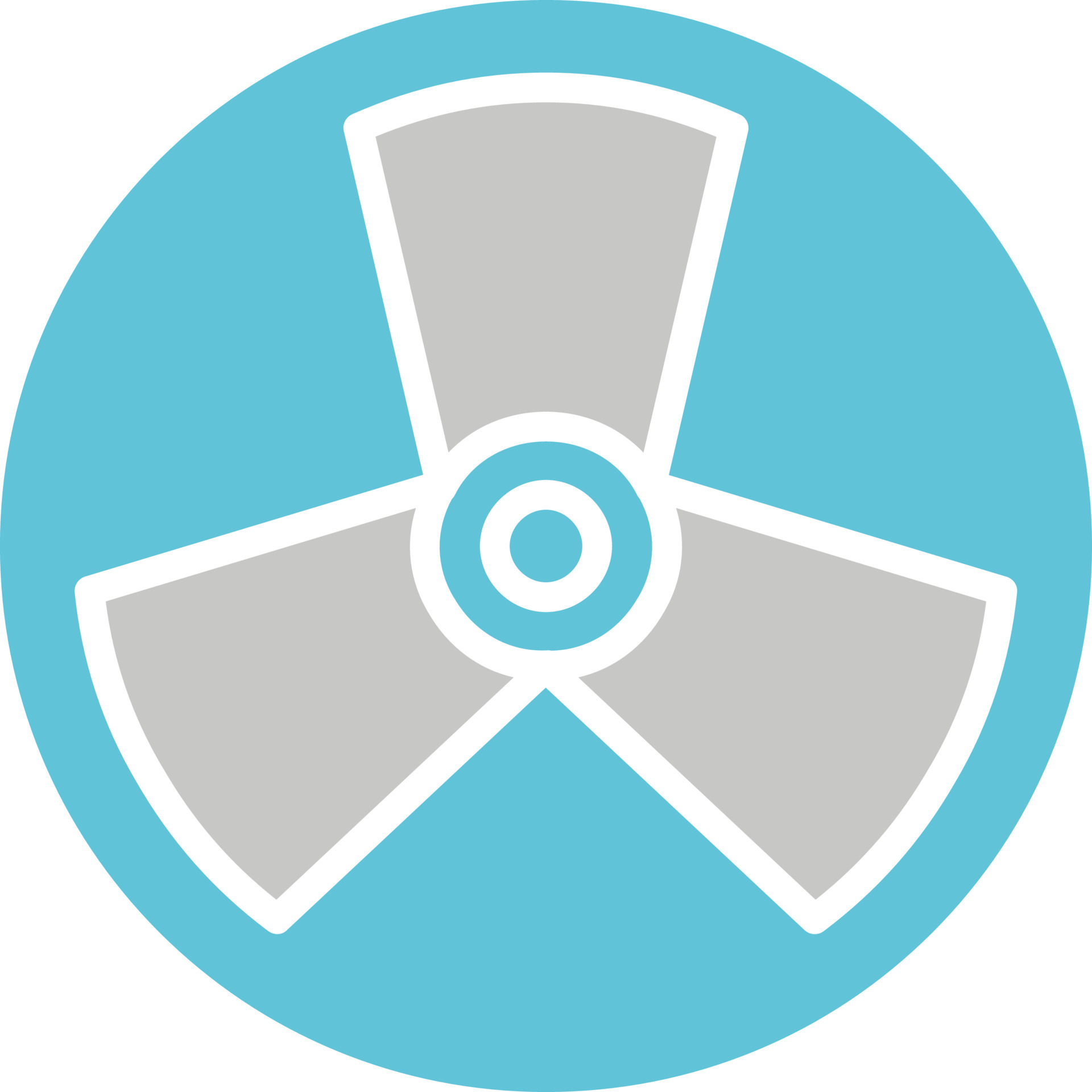 Alert Vector Icon 16387399 Vector Art at Vecteezy