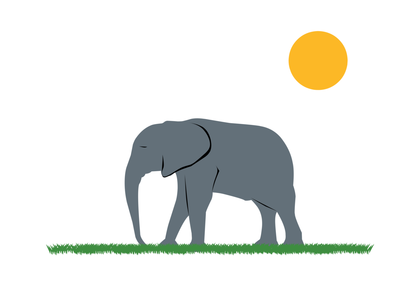 elefante a piedi su erba png