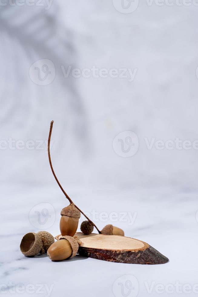 una escena minimalista de un podio con madera y bellotas sobre fondo blanco, para cosmética natural foto