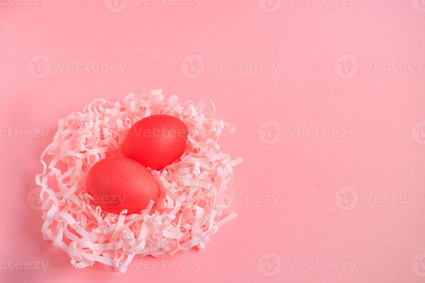 Easter pink background. Two painted eggs in a nest of corrugated paper strips on a punchy pink background. photo