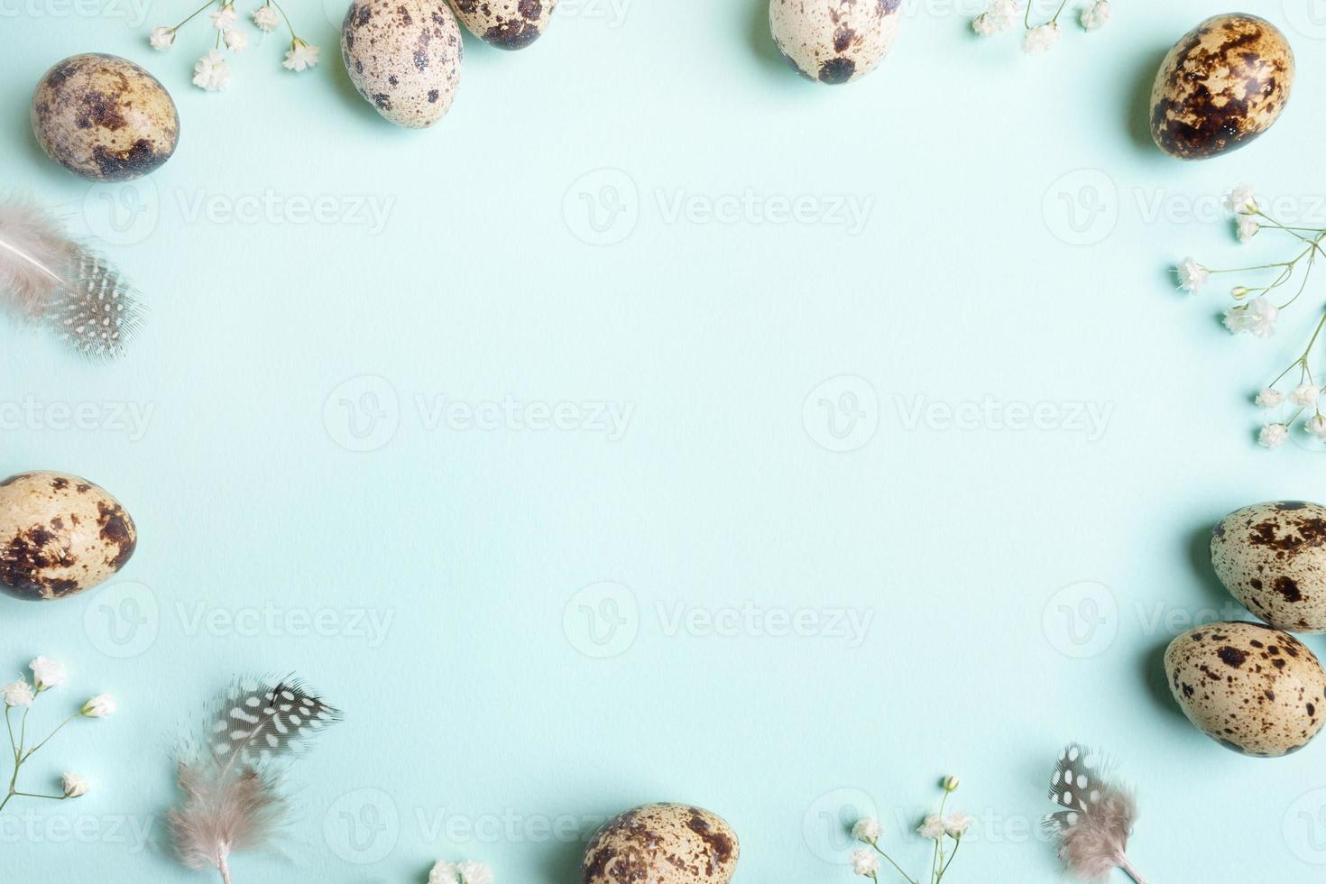 Frame of quail eggs, feathers, white gypsophila flowers on light blue. Top view. Copy space. photo