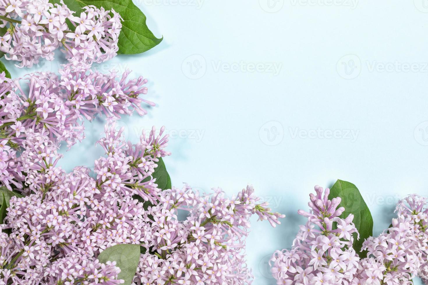 Floral composition of lilac flowers with copy space. photo