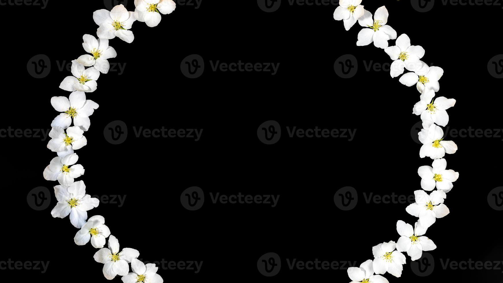 Frame made of white apple tree flowers on edges of black background. Minimal contrast layout for spring holidays. photo