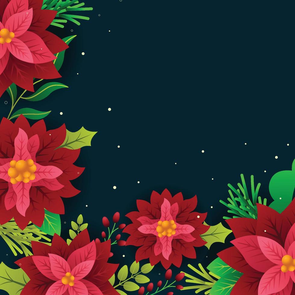 Beautiful Poinsettias With Dark Background vector