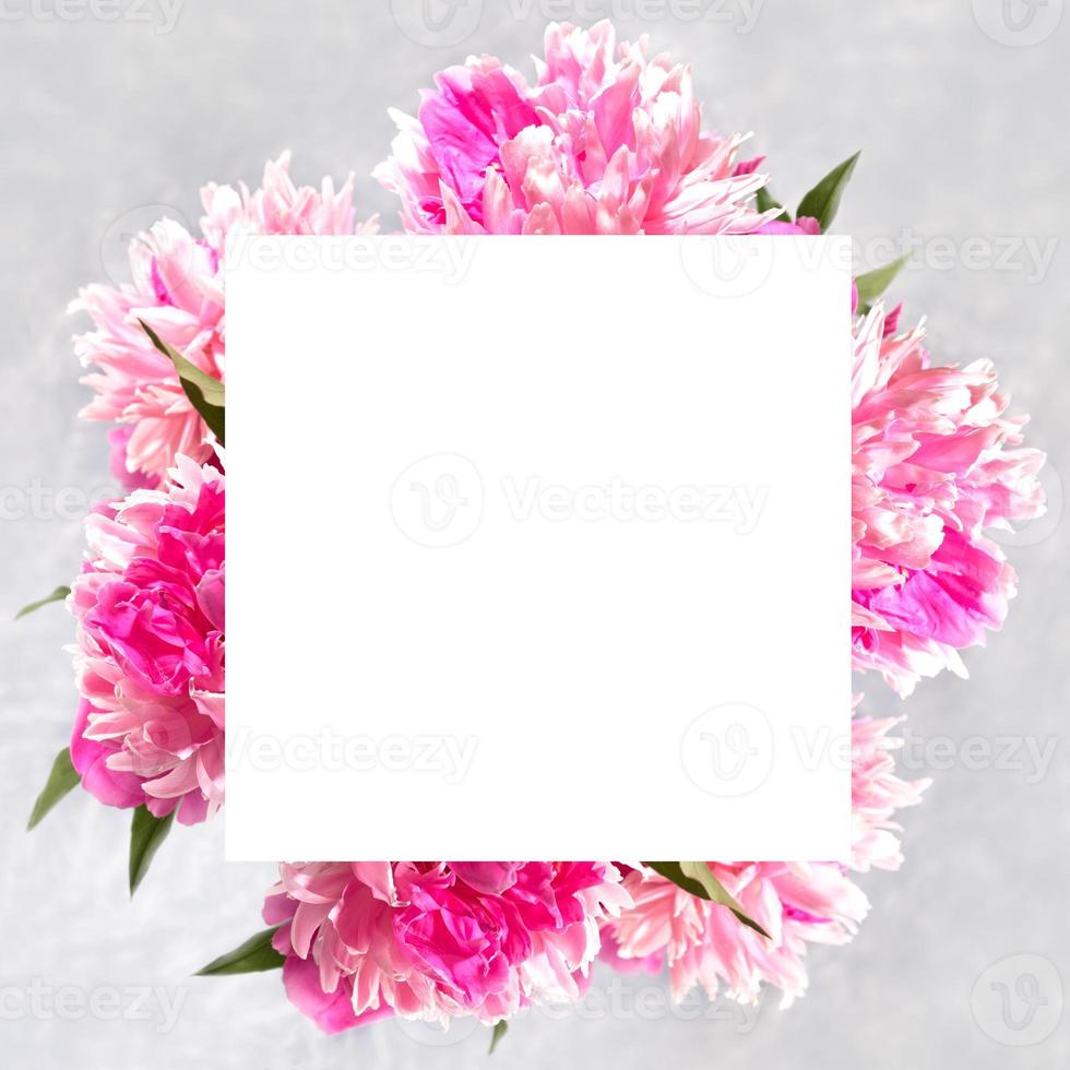 Square festive background with fresh pink peonies and empty white sheet for text above on light grey. Top view. photo