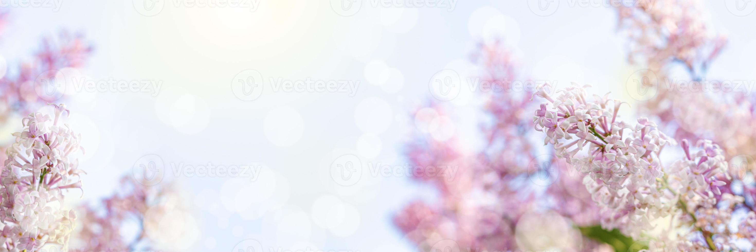 Sunlit lilac branches on blue sky background with flares and bokeh. Beautiful spring design. Copy space. Wide banner. photo