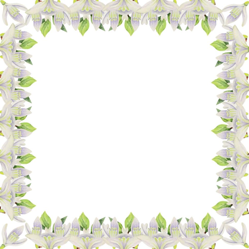 Watercolor hand drawn square frame with spring flowers, snowdrops, green fresh leaves. Isolated on white background. Design for invitations, wedding, greeting cards, wallpaper, print, textile. vector