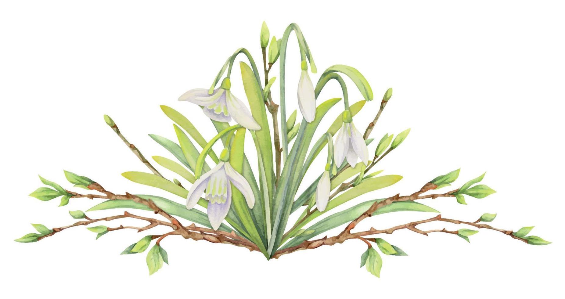 Watercolor hand drawn composition with spring flowers, snowdrops, leaves and stems, bow, gift tag. Isolated on white background. For invitations, wedding, greeting cards, wallpaper, print, textile. vector