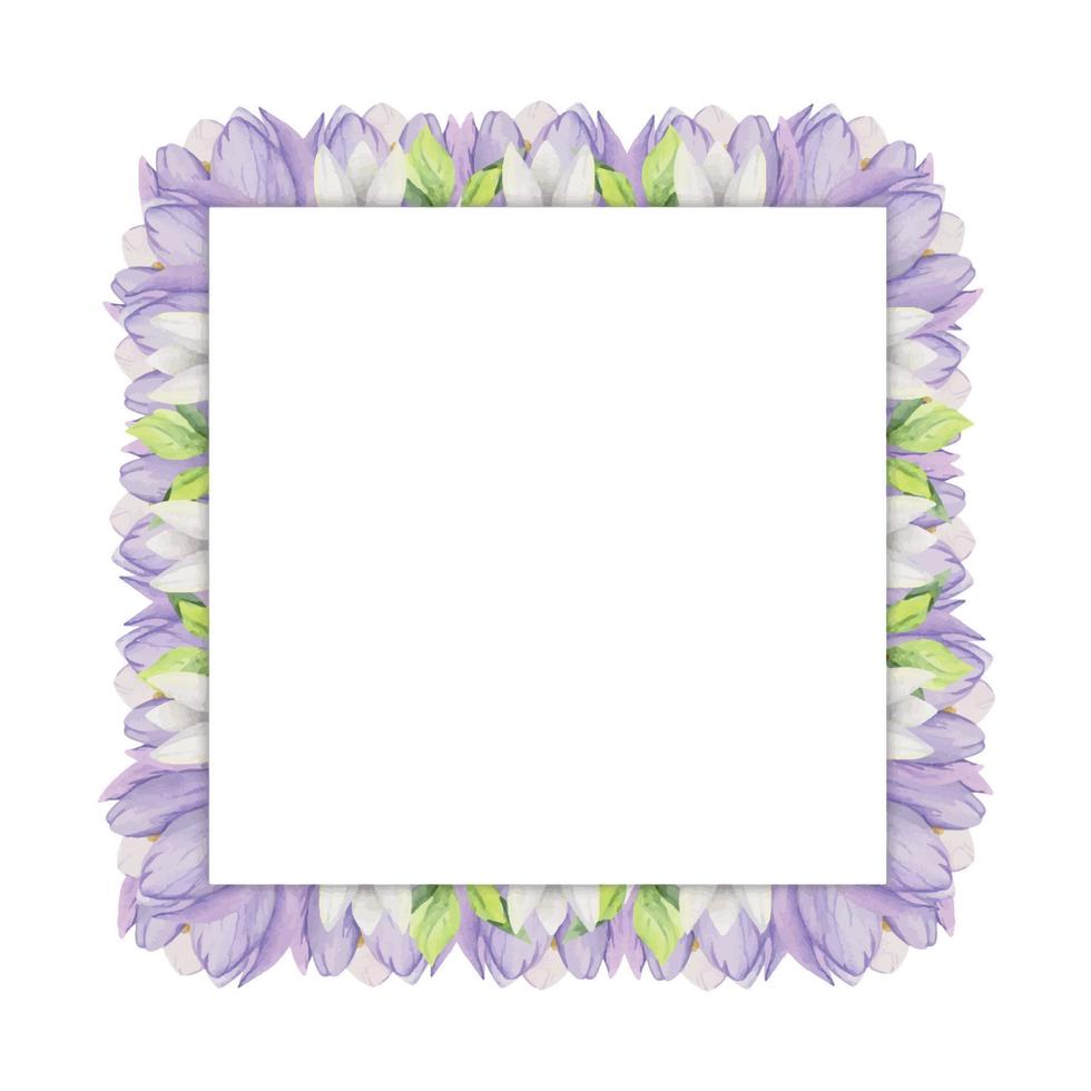 Watercolor hand drawn square frame with spring flowers, crocus, snowdrops, branches, leaves. Isolated on white background. Design for invitations, wedding, greeting cards, wallpaper, print, textile. vector
