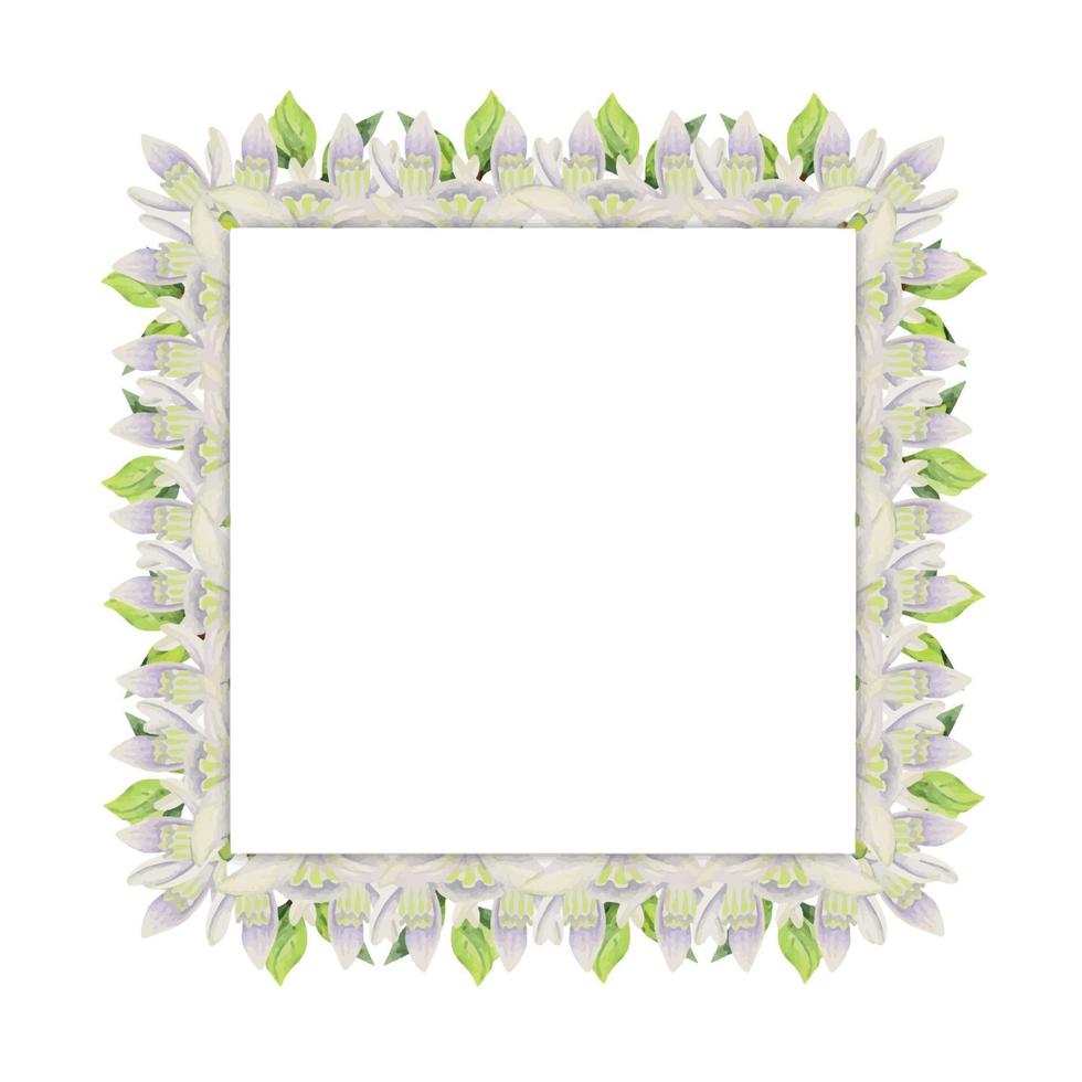 Watercolor hand drawn square frame with spring flowers, snowdrops, green fresh leaves. Isolated on white background. Design for invitations, wedding, greeting cards, wallpaper, print, textile. vector