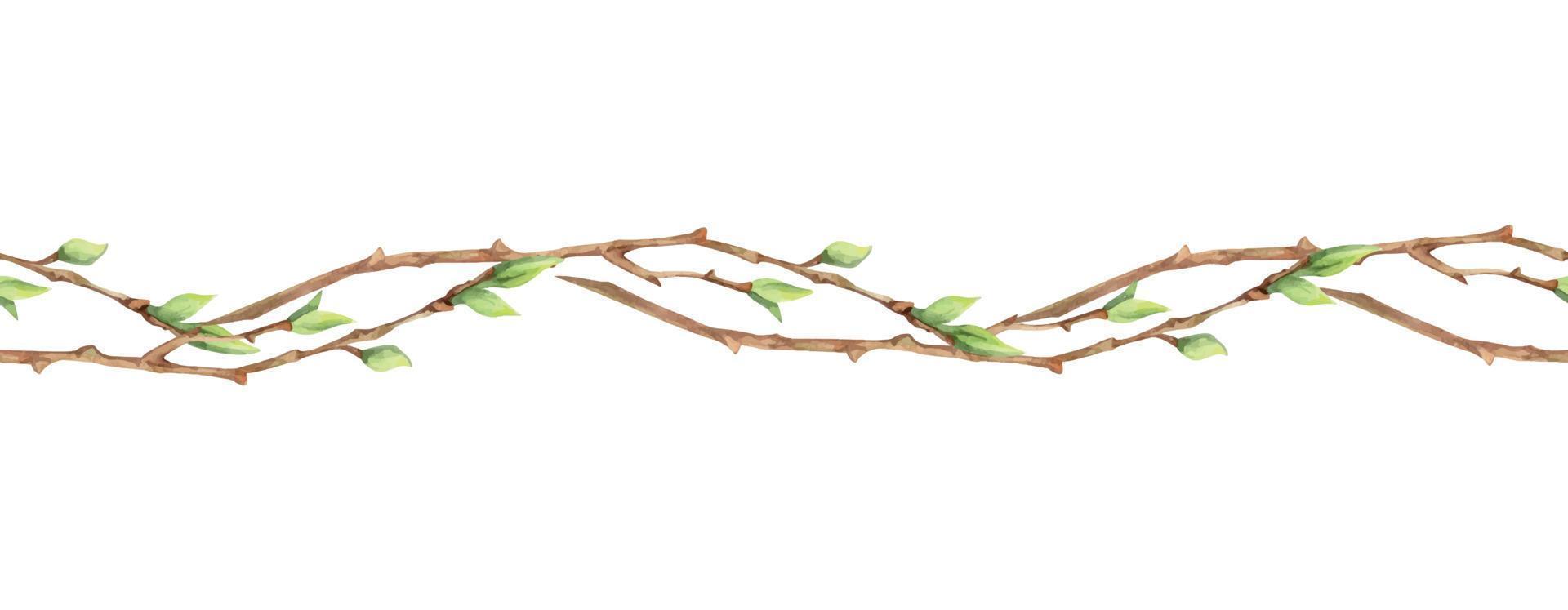 Watercolor hand drawn seamless border of spring twigs and branches with fresh leaves. Isolated on white background. Design for invitations, wedding, greeting cards, wallpaper, print, textile vector