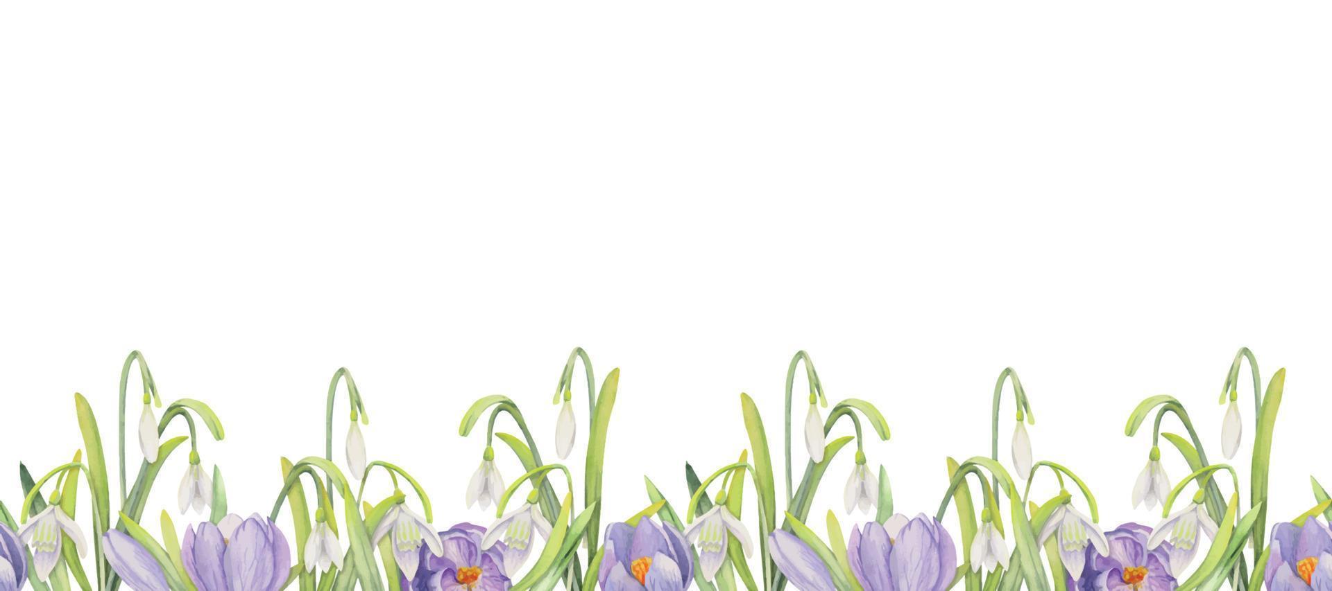 Watercolor hand drawn seamless border with spring flowers, daffodils, crocus, snowdrops. Isolated on white background. Design for invitations, wedding, greeting cards, wallpaper, print, textile vector