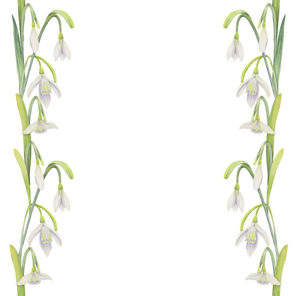 acuarela dibujada a mano borde sin costuras con flores de primavera, narcisos, azafrán, gotas de nieve. aislado sobre fondo blanco. diseño para invitaciones, bodas, tarjetas de felicitación, papel pintado, estampado, textil vector