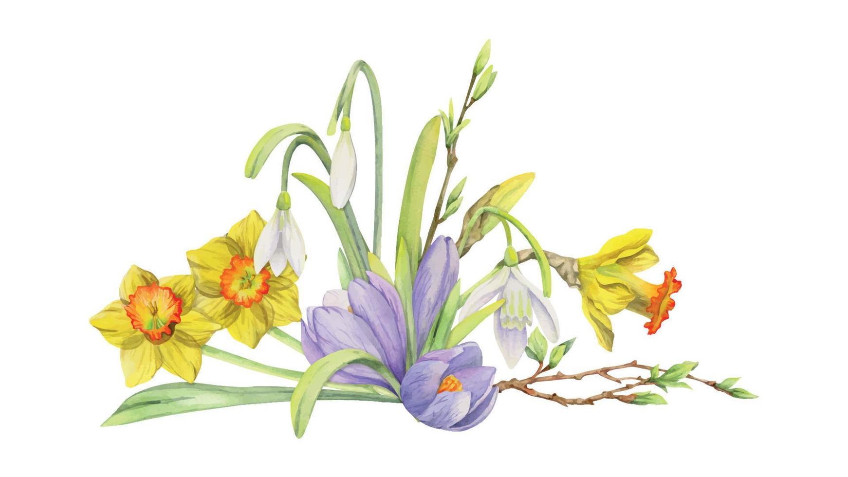 Watercolor hand drawn composition with spring flowers, crocus, snowdrops, daffodils, bow, gift tag. Isolated on white background. For invitations, wedding, greeting cards, wallpaper, print, textile. vector