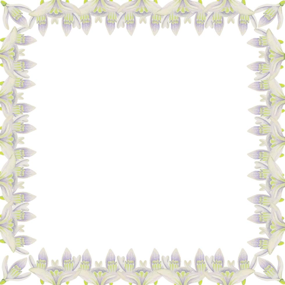 Watercolor hand drawn square frame with spring flowers, snowdrops, green fresh leaves. Isolated on white background. Design for invitations, wedding, greeting cards, wallpaper, print, textile. vector