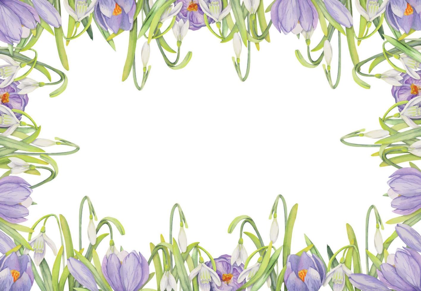 Watercolor hand drawn square frame with spring flowers, crocus, snowdrops, branches, leaves. Isolated on white background. Design for invitations, wedding, greeting cards, wallpaper, print, textile. vector