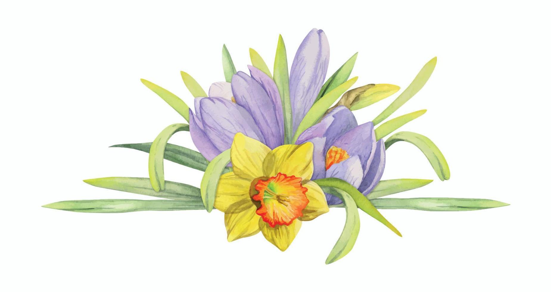 Watercolor hand drawn composition with spring flowers, crocus, snowdrops, daffodils, bow, gift tag. Isolated on white background. For invitations, wedding, greeting cards, wallpaper, print, textile. vector