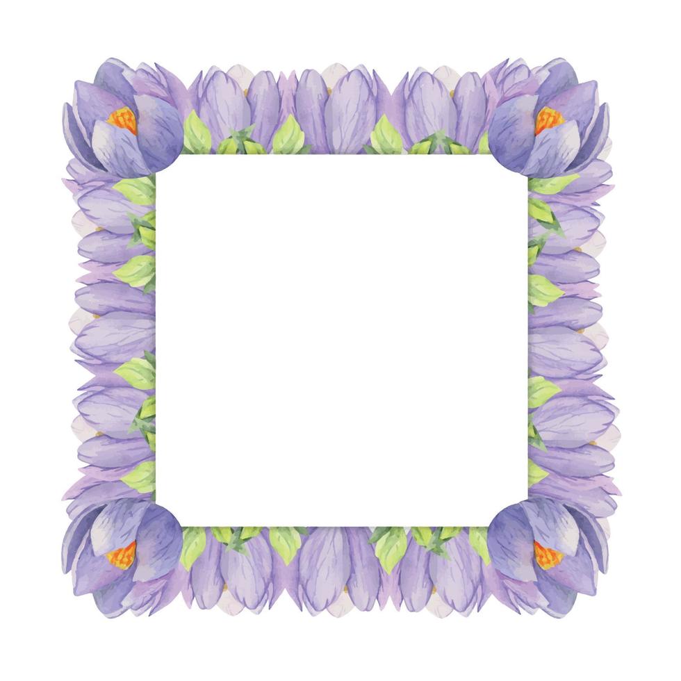 Watercolor hand drawn square frame with spring flowers, crocus, snowdrops, branches, leaves. Isolated on white background. Design for invitations, wedding, greeting cards, wallpaper, print, textile. vector