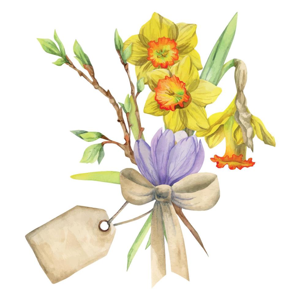 Watercolor hand drawn composition with spring flowers, crocus, snowdrops, daffodils, bow, gift tag. Isolated on white background. For invitations, wedding, greeting cards, wallpaper, print, textile. vector