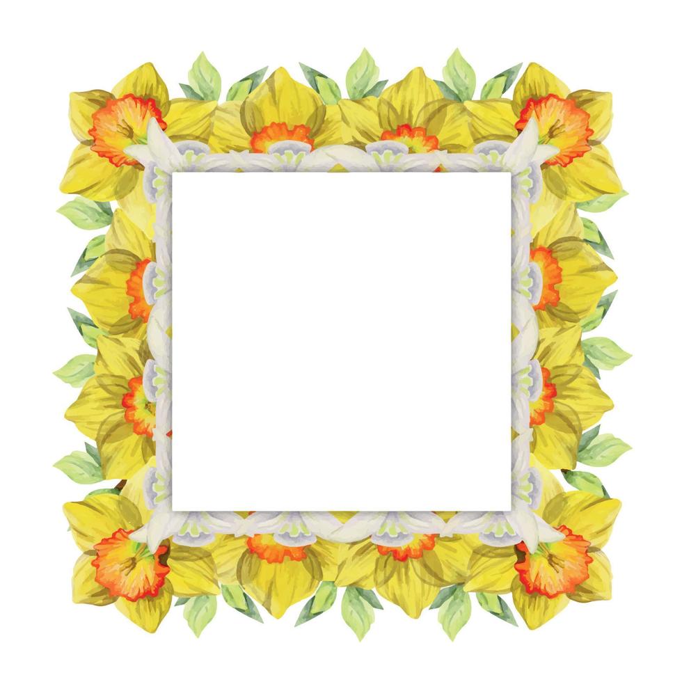 Watercolor hand drawn square frame with spring flowers, daffodils, snowdrops, branches, leaves. Isolated on white background. Design for invitations, wedding, greeting cards, wallpaper, print, textile vector