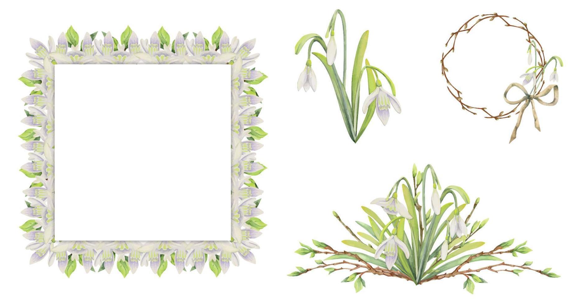 Watercolor hand drawn composition with spring flowers, snowdrops, leaves and stems, bow, gift tag. Isolated on white background. For invitations, wedding, greeting cards, wallpaper, print, textile. vector