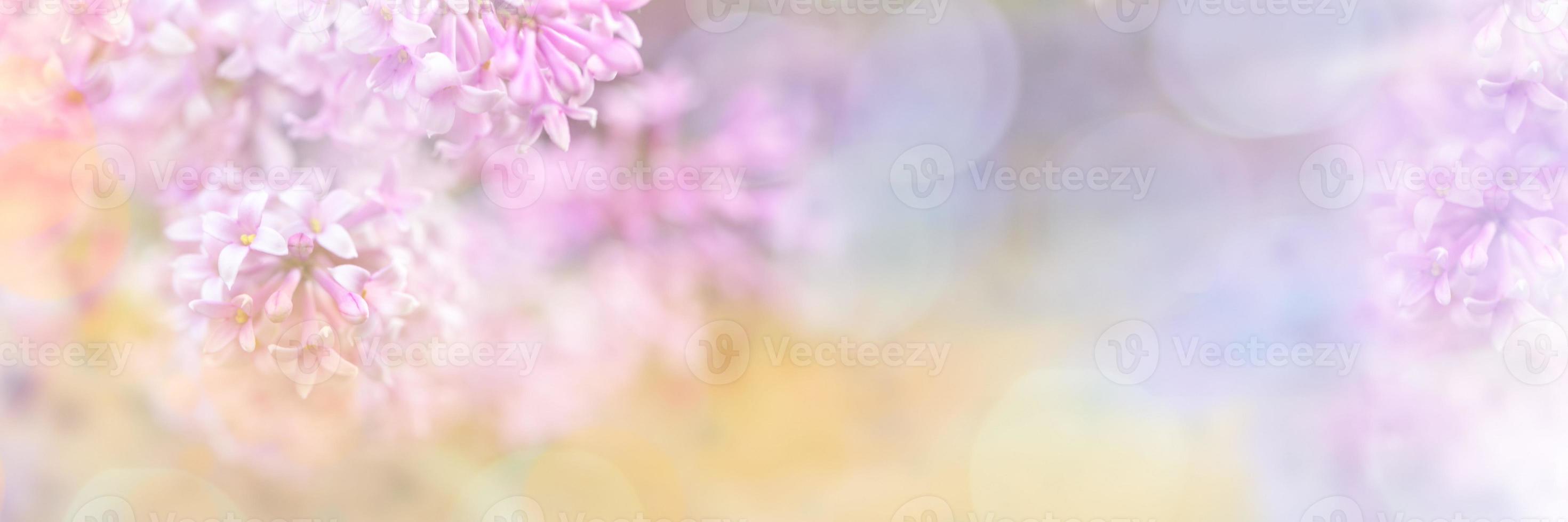 Beautiful blurred yellow-pink design border of lilac flowers with bokeh for invitation or greeting card. Blurred lilac branches close-up. Soft focus. Copy space for text. Wide banner. photo