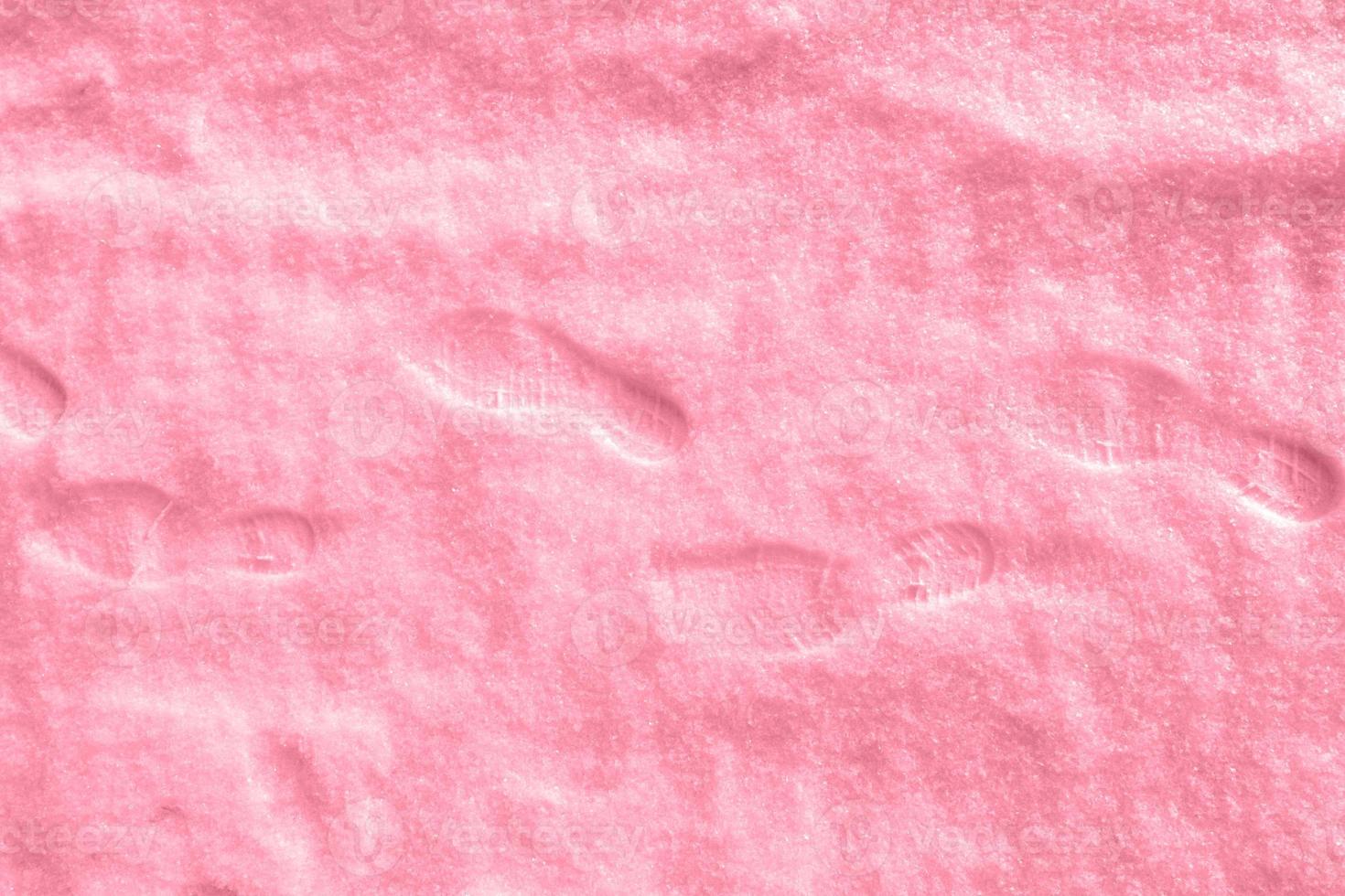 Several human footprints in shoes on freshly fallen snow toning in color of 2023 Viva Magenta. photo