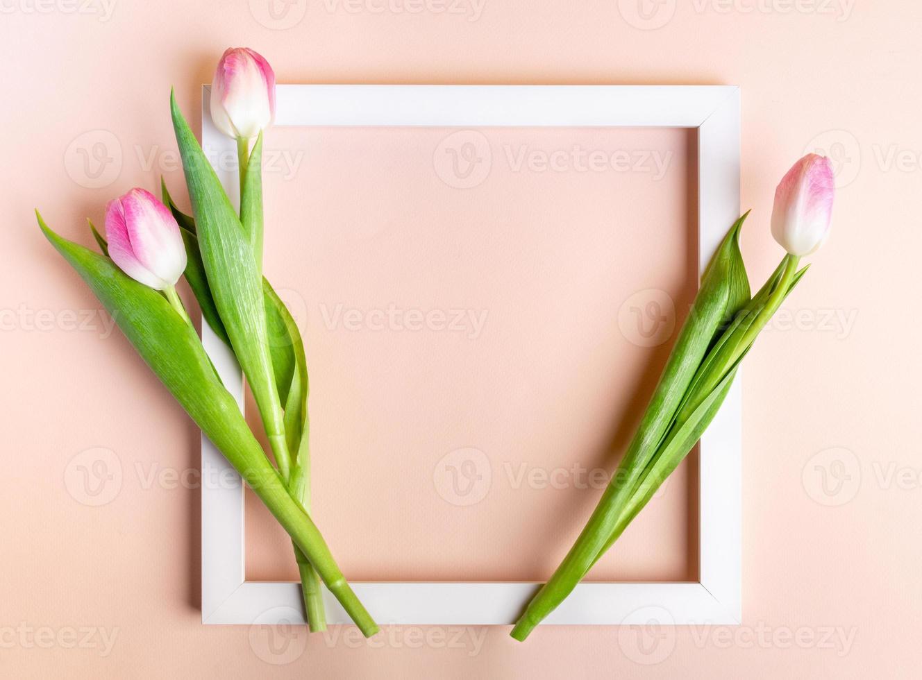 White empty frame and fresh pink tulips on pastel pink backdrop with copy space. Mock up. Top view. photo