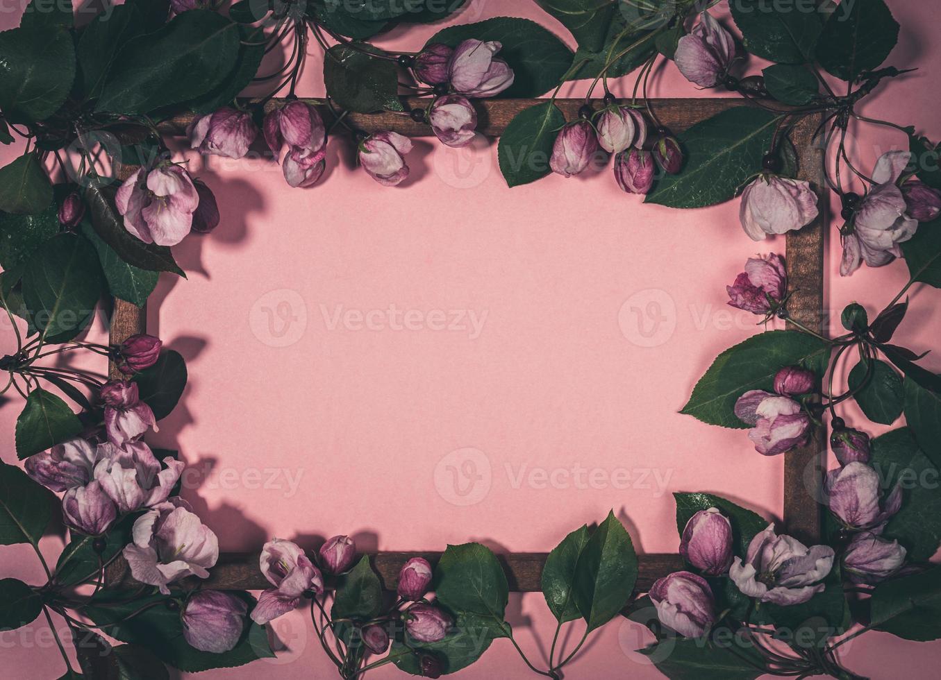 Lot of fresh blooming apple tree twigs or cherry on wooden frame on pink backdrop with copy space. Dark toned image. photo