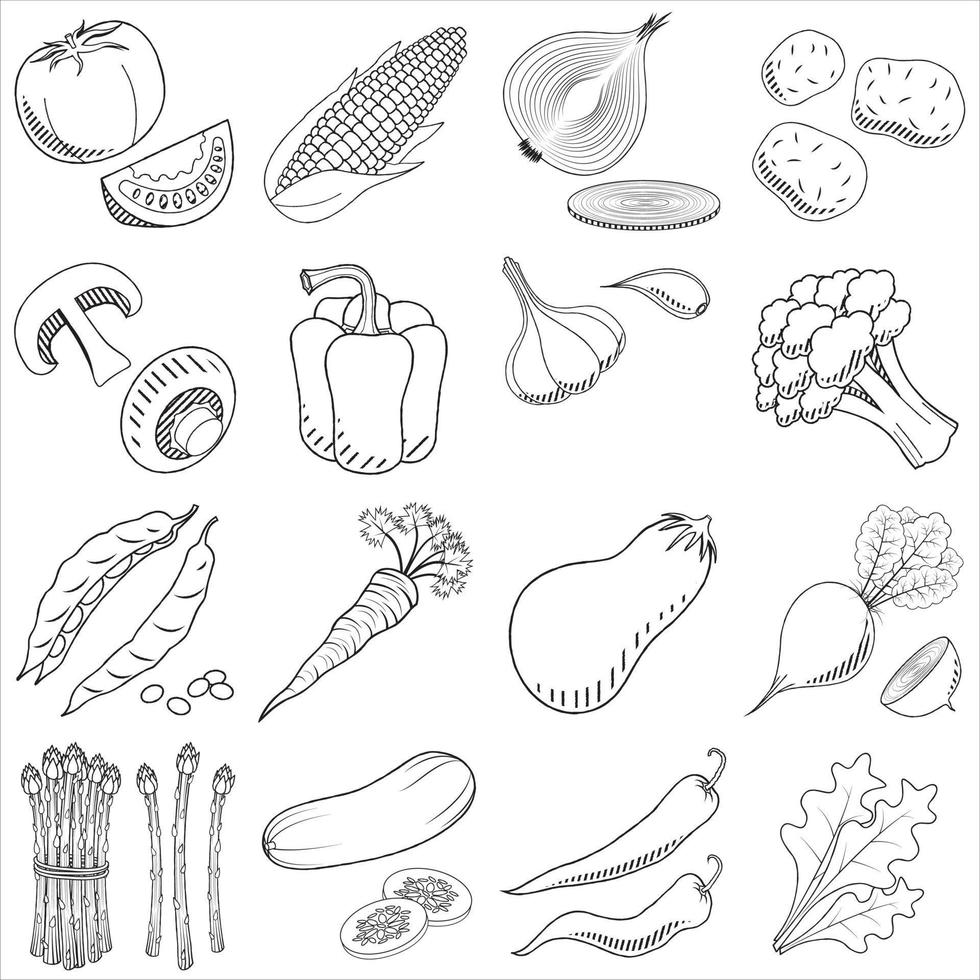 Group of Vegetables - Outline Illustration vector