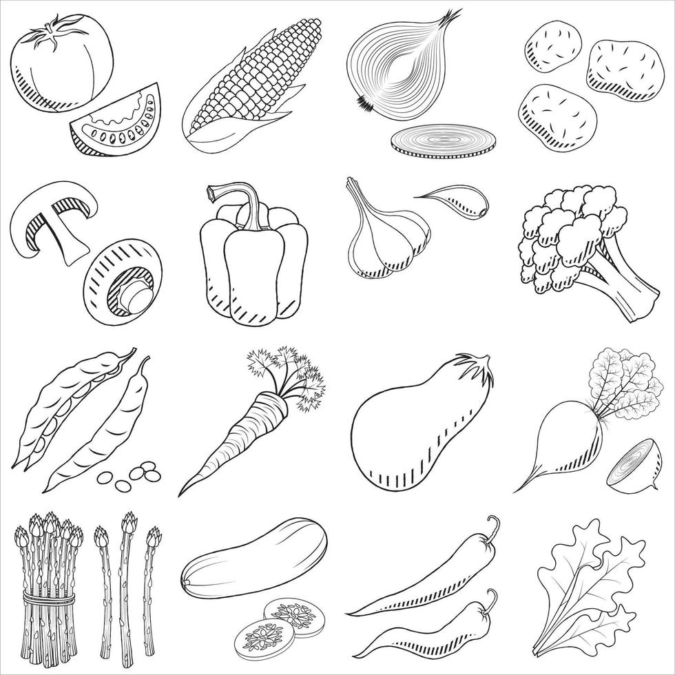 grupo de verduras - ilustración de esquema vector