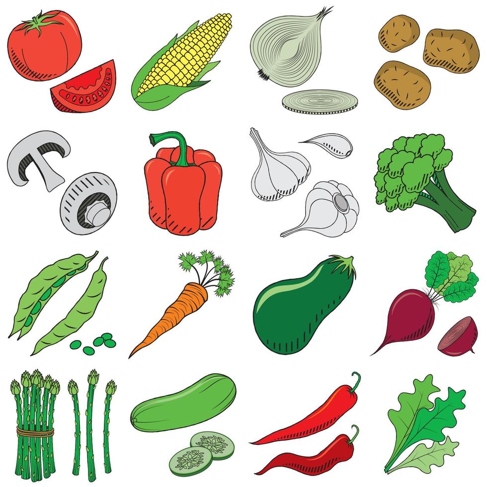 Set of Vegetables Illustration vector