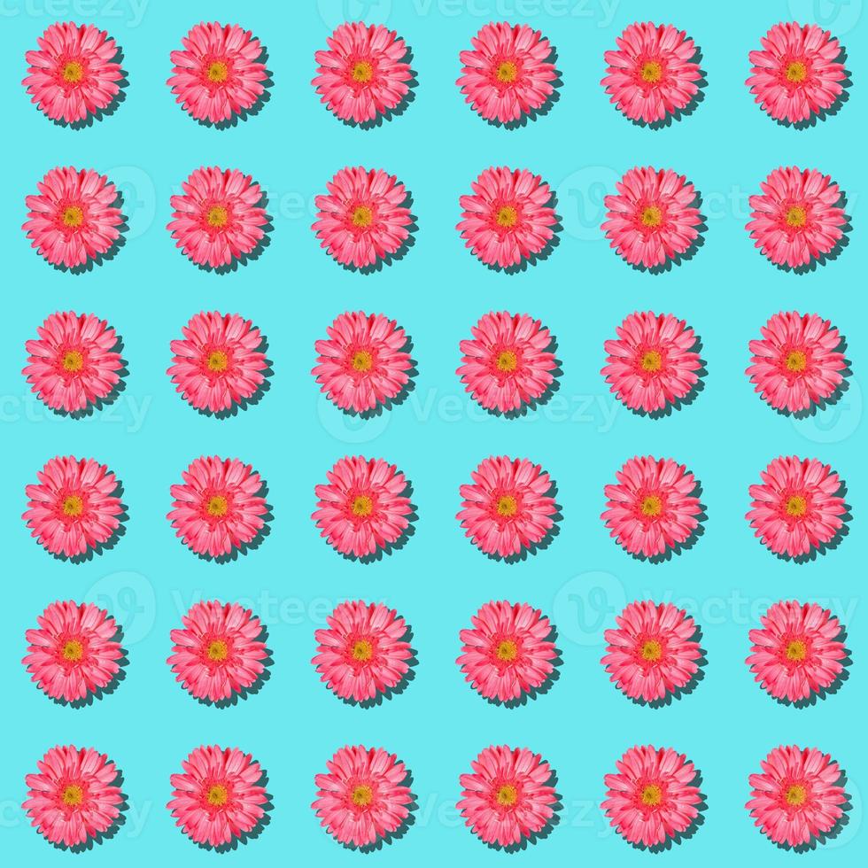Seamless rythm pattern with gentle pink gerbera flowers on pastel blue background. photo