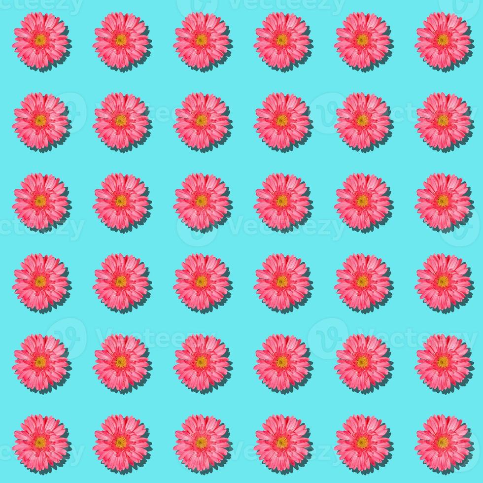 Seamless rythm pattern with gentle pink gerbera flowers on pastel blue background. photo