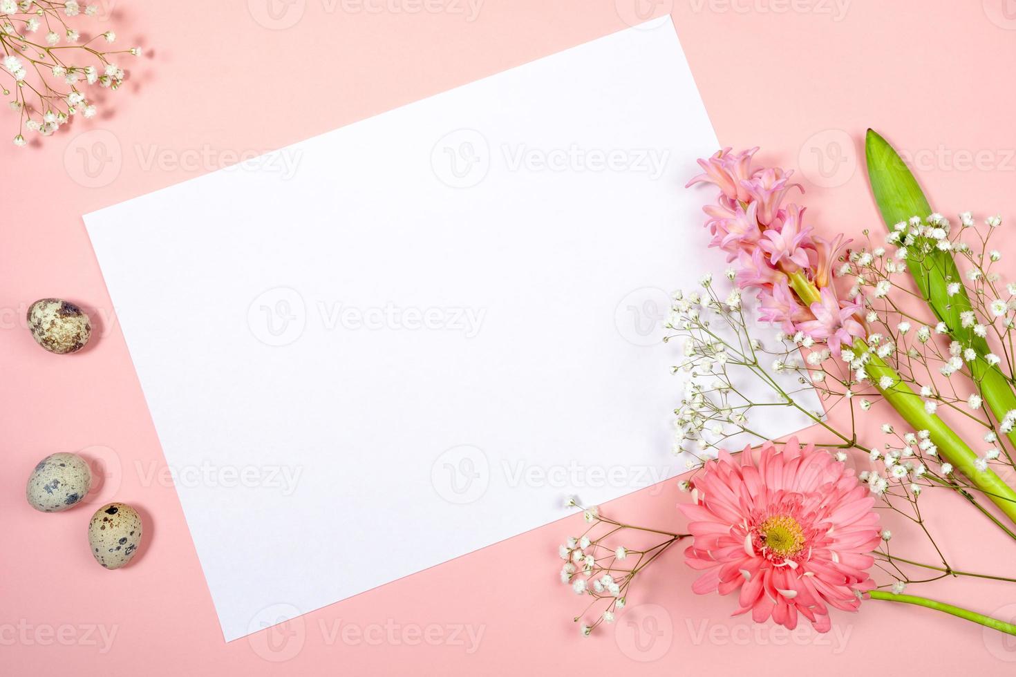 Easter festive greeting card with white sheet with copy space for text, quail eggs and spring flowers on pastel pink. photo