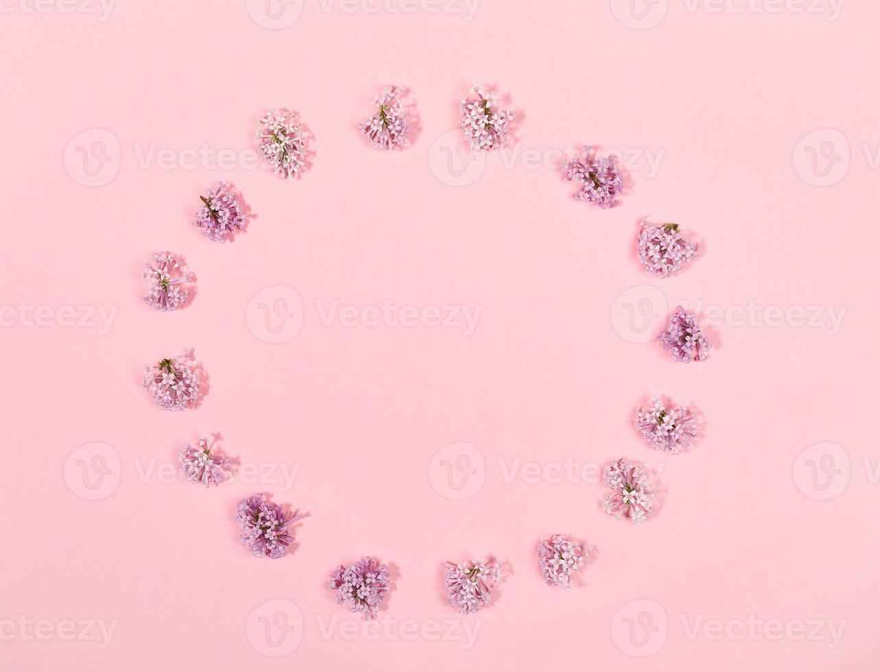 Creative floral minimal background with flowers of lilac laid out in circle on trendy pink background. Top view. photo